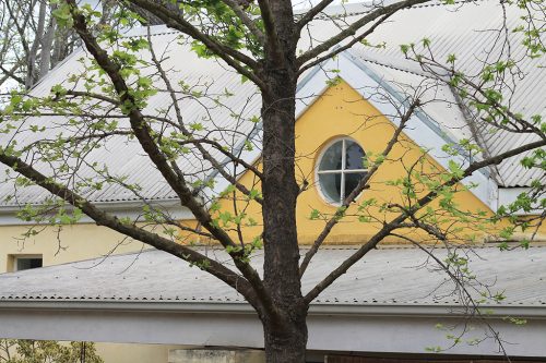 Mount Grace Greyton