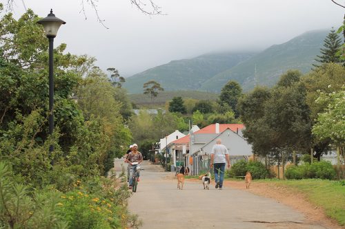 Mount Grace Greyton