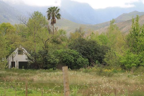 Mount Grace Greyton