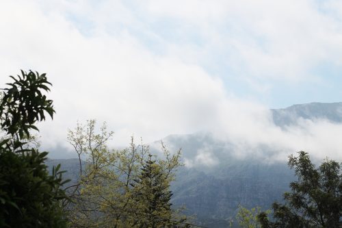Mount Grace Greyton
